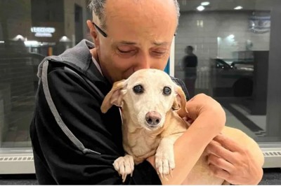 Blind Man Reunited with Beloved Service Dog After Heartbreaking Theft!