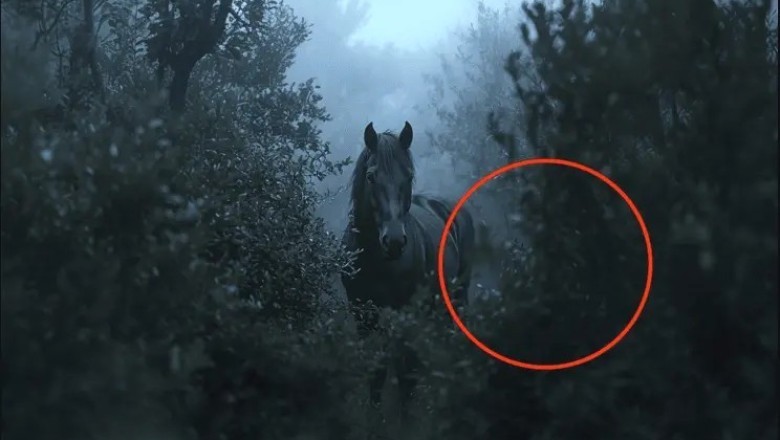 Miraculous Reunion: Farmer Discovers Missing Horse After 8 Months—What Happens Next Will Leave You Speechless!