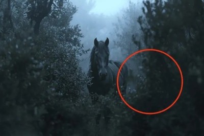 Miraculous Reunion: Farmer Discovers Missing Horse After 8 Months—What Happens Next Will Leave You Speechless!