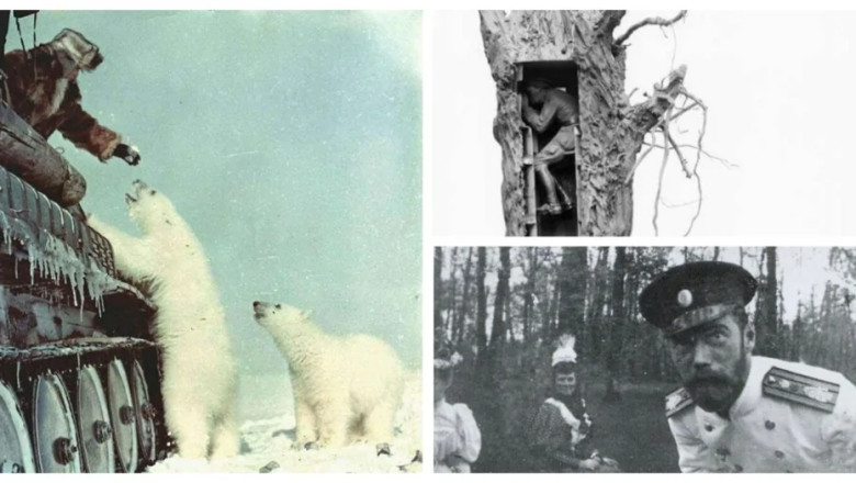 30 Amazing Historical Photos That Will Change How You See the Past!