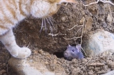 Epic Fails and Hilarious Moments: The Funniest Video You’ll See All Day!