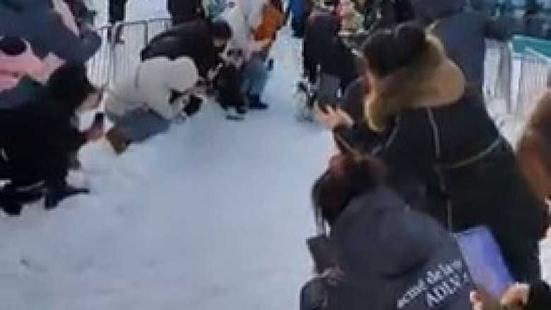 When Penguins Take Over: Hilarious Delegation Arrival You Can't Miss!