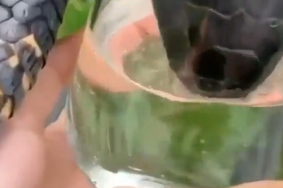 Hydration Queen: The Snakiest Water Break Ever