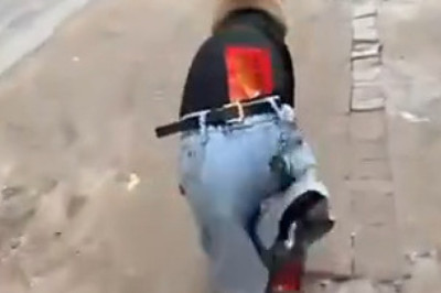 Dog in Disguise: The Canine Spy in a Tail-Wagging Trench Coat