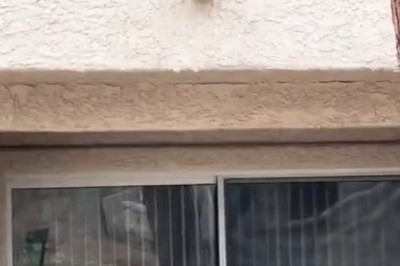 Warning: Don’t Turn Up Your Volume When This Dog Starts Barking!