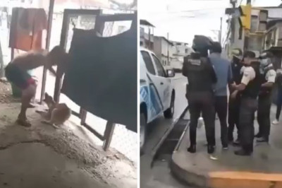 New state law to increase penalties for animal abuse, neglect