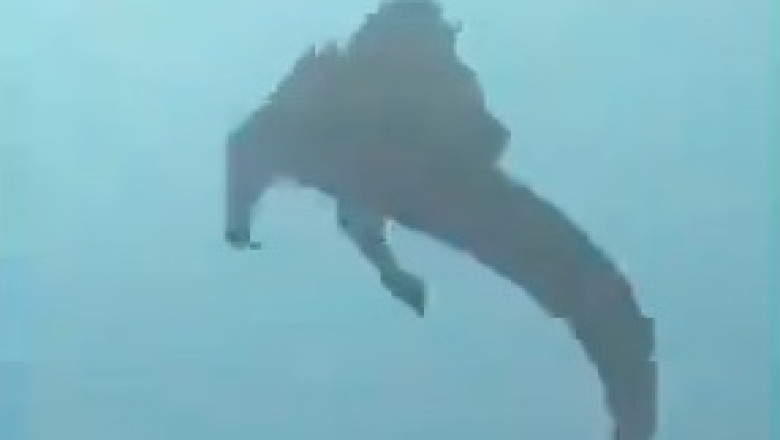 The Only Sea Lizard on Earth: Marine Iguana's Underwater Secret Revealed!