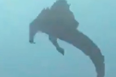 The Only Sea Lizard on Earth: Marine Iguana's Underwater Secret Revealed!