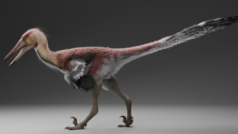 Meet the "Herodinosaur": A 70-Million-Year-Old Fish-Eating Predator That Stalked Like a Modern Heron
