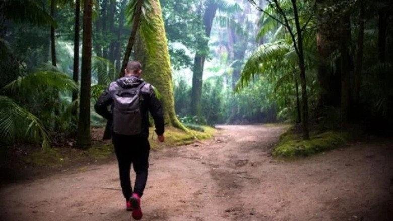 Jungle Archaeology Shock: Archaeologist Stunned by Incredible Discovery