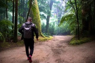 Jungle Archaeology Shock: Archaeologist Stunned by Incredible Discovery
