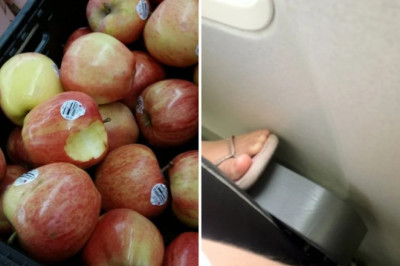14 Photos That Will Make You Lose Your Cool (And Laugh Through the Rage)