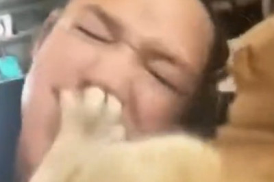 MY DOG JUST DID WHAT?! 😂 You Won't Believe This!