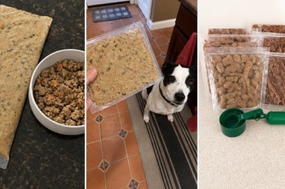 Fresh Dog Food: Three Risks You Didn't Know About